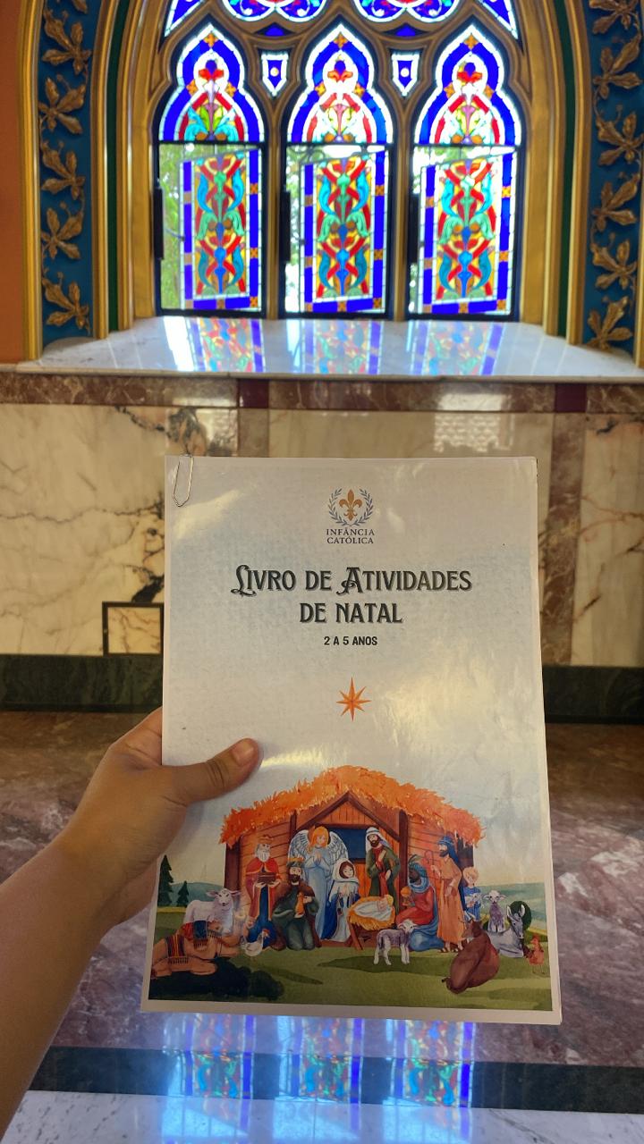 Livro de Atividades de Natal