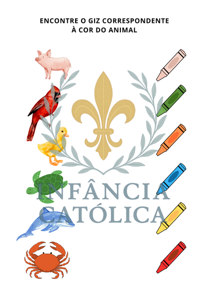 Livro de Atividades 2+