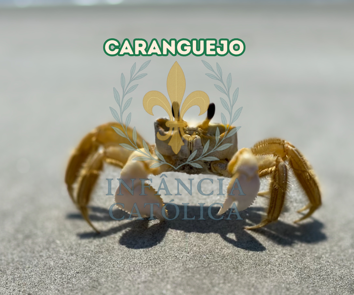 Meu Primeiro Livro Sobre a Praia