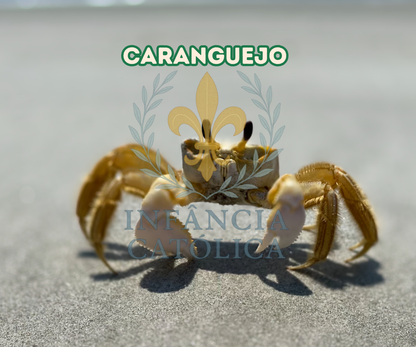 Meu Primeiro Livro Sobre a Praia