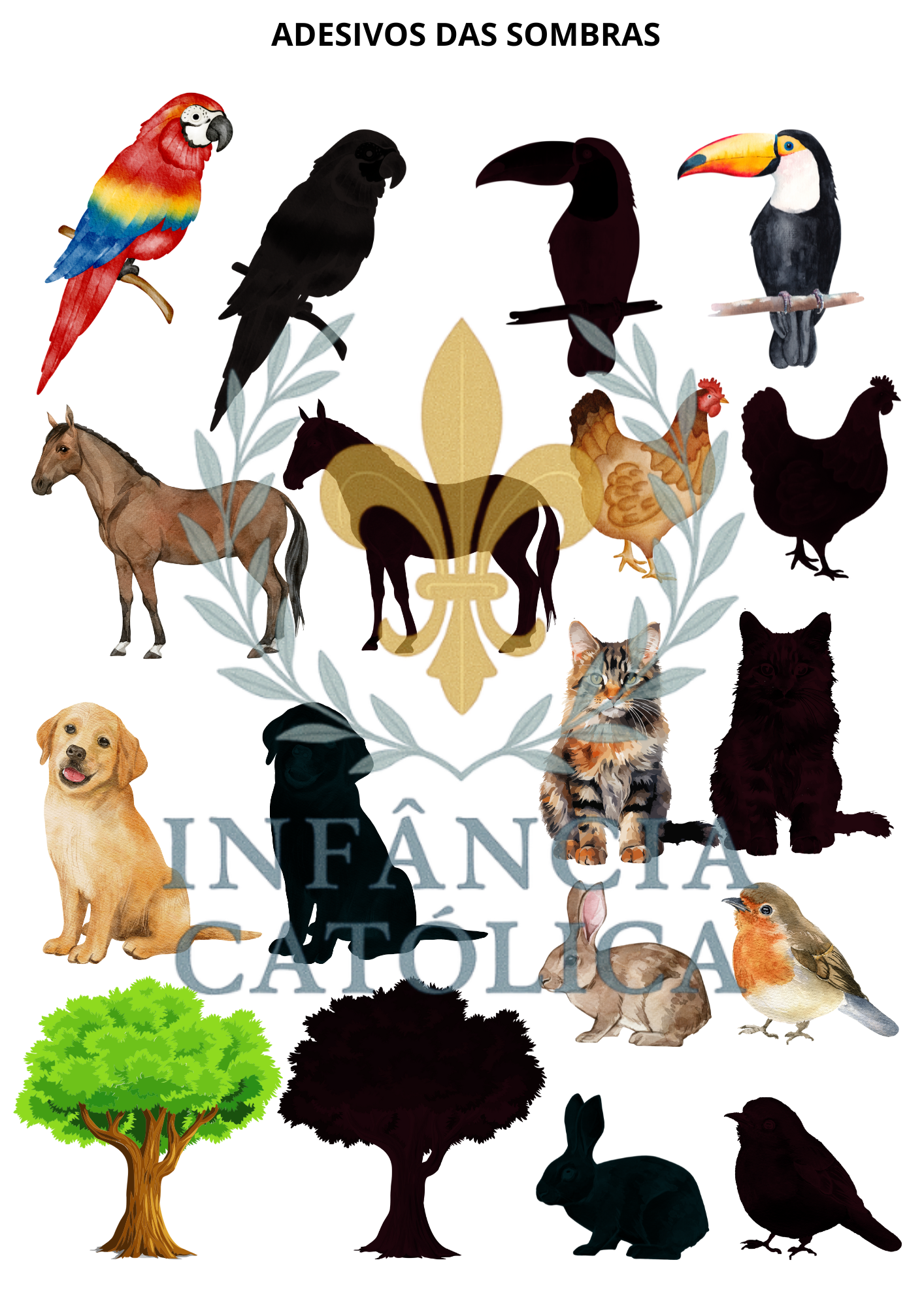 Livro de Atividades 2+