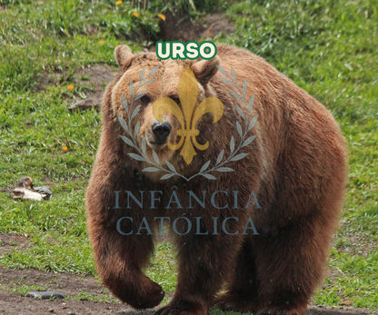 Meu Primeiro Livro Sobre o Zoológico