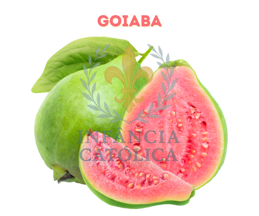 Meu Primeiro Livro Sobre as Frutas