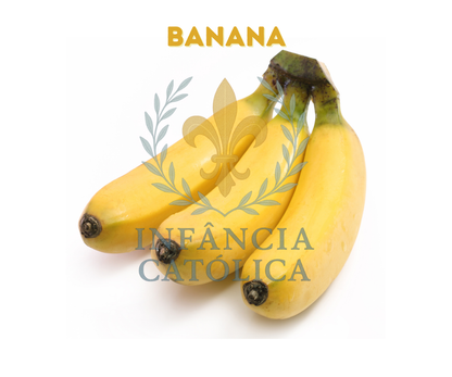 Meu Primeiro Livro Sobre as Frutas