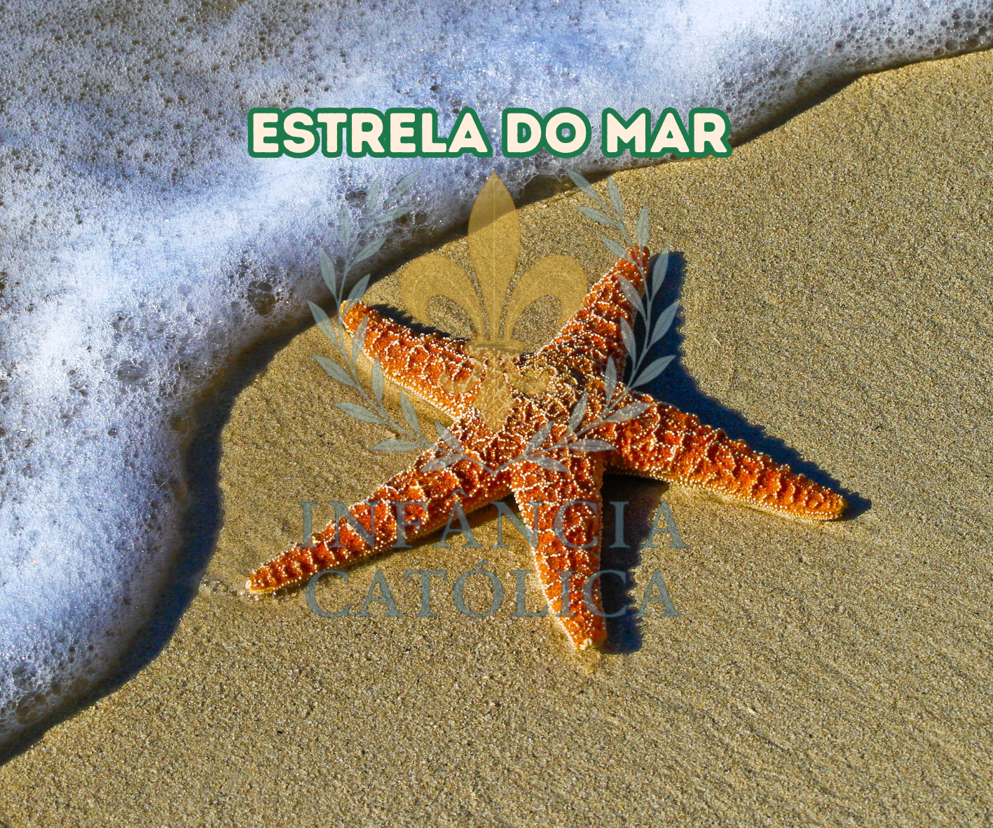 Meu Primeiro Livro Sobre a Praia