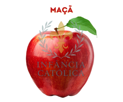 Meu Primeiro Livro Sobre as Frutas