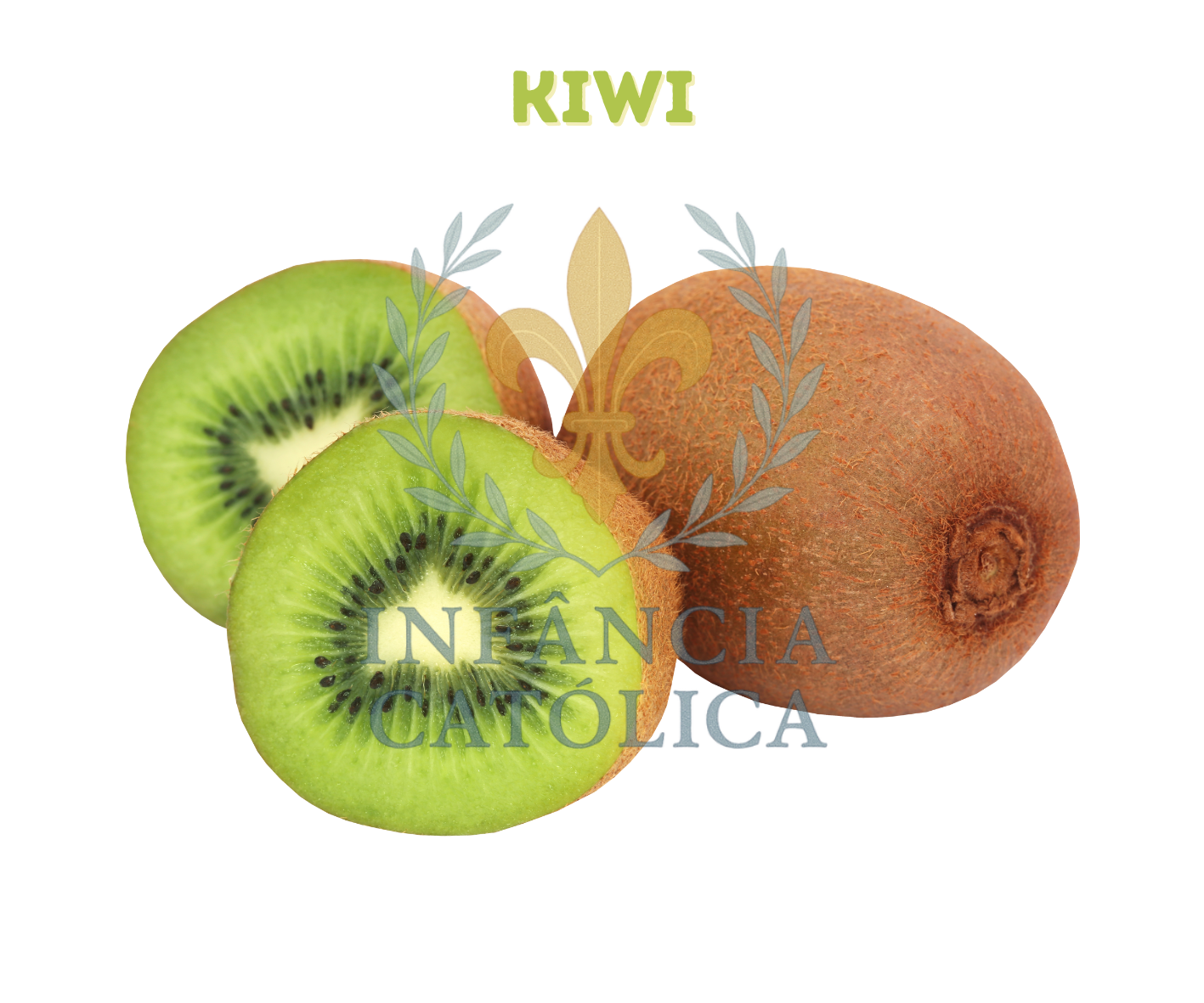 Meu Primeiro Livro Sobre as Frutas