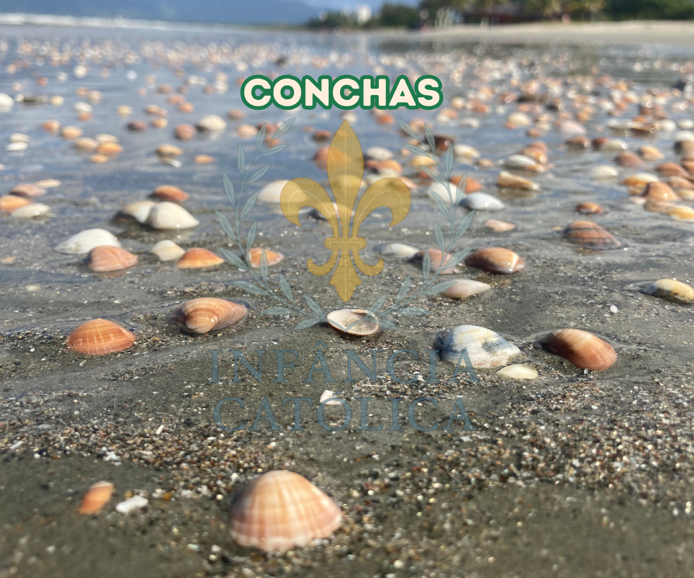 Meu Primeiro Livro Sobre a Praia