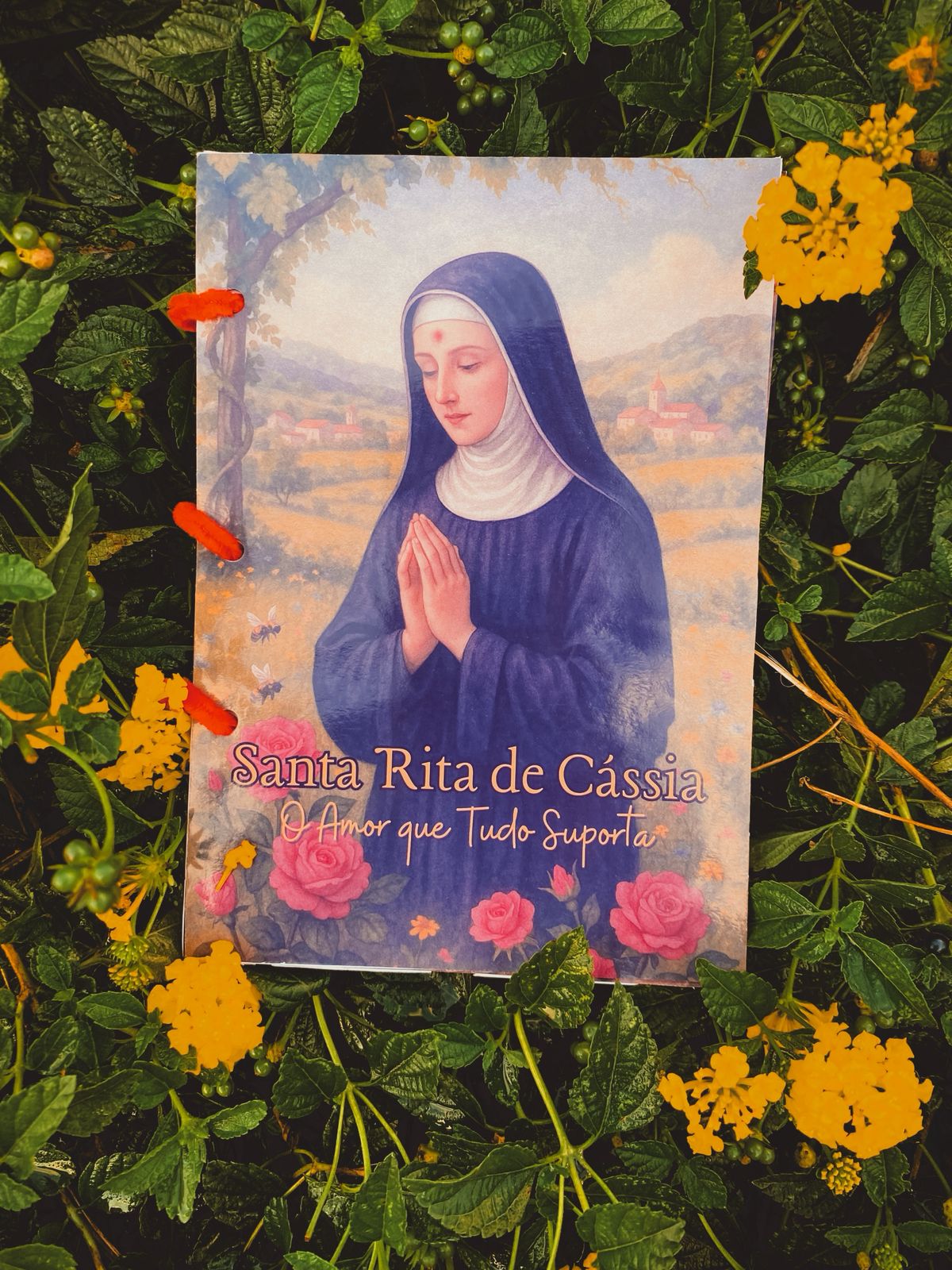 Santa Rita de Cássia - O Amor que Tudo Suporta