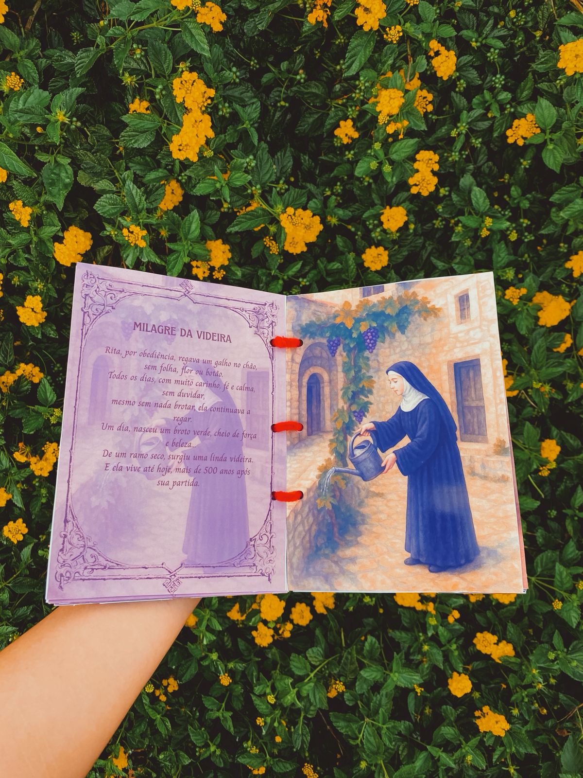 Santa Rita de Cássia - O Amor que Tudo Suporta