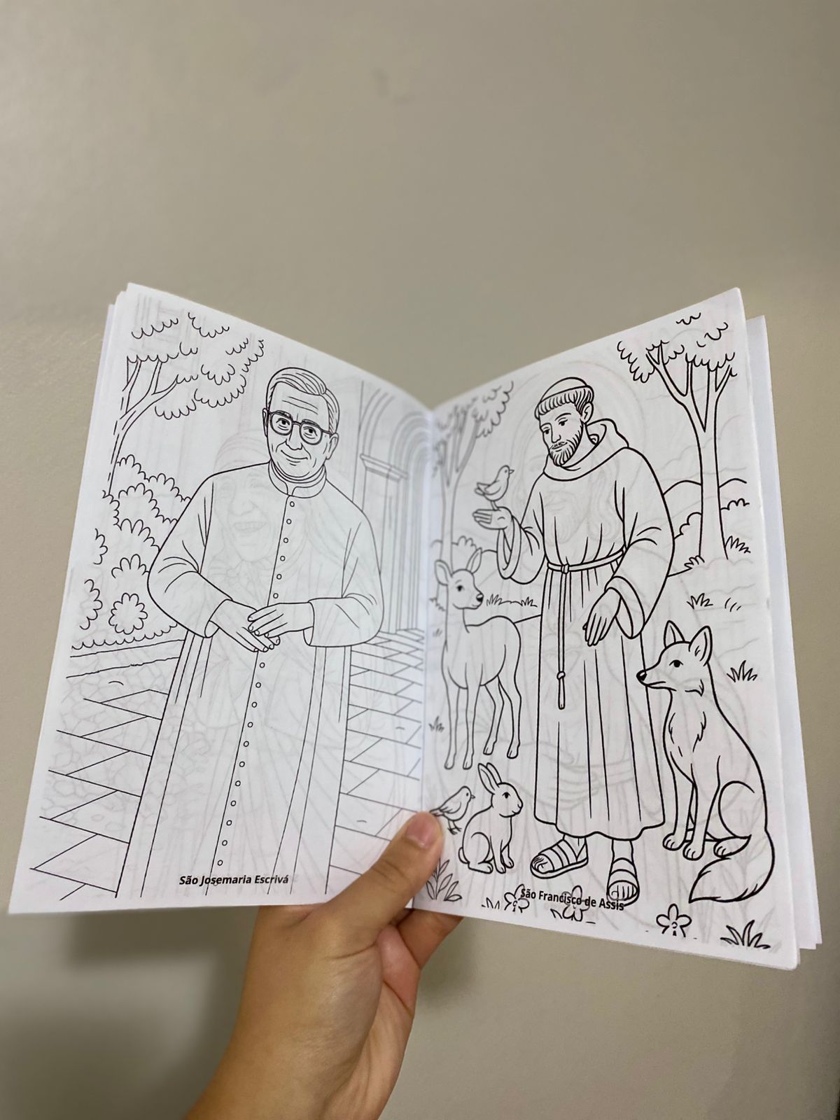 Combo Infância Católica