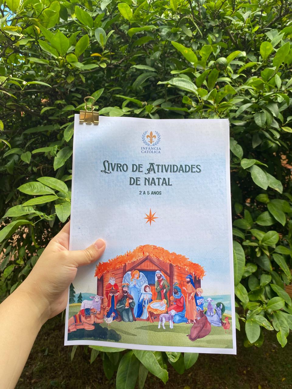 Livro de Atividades de Natal